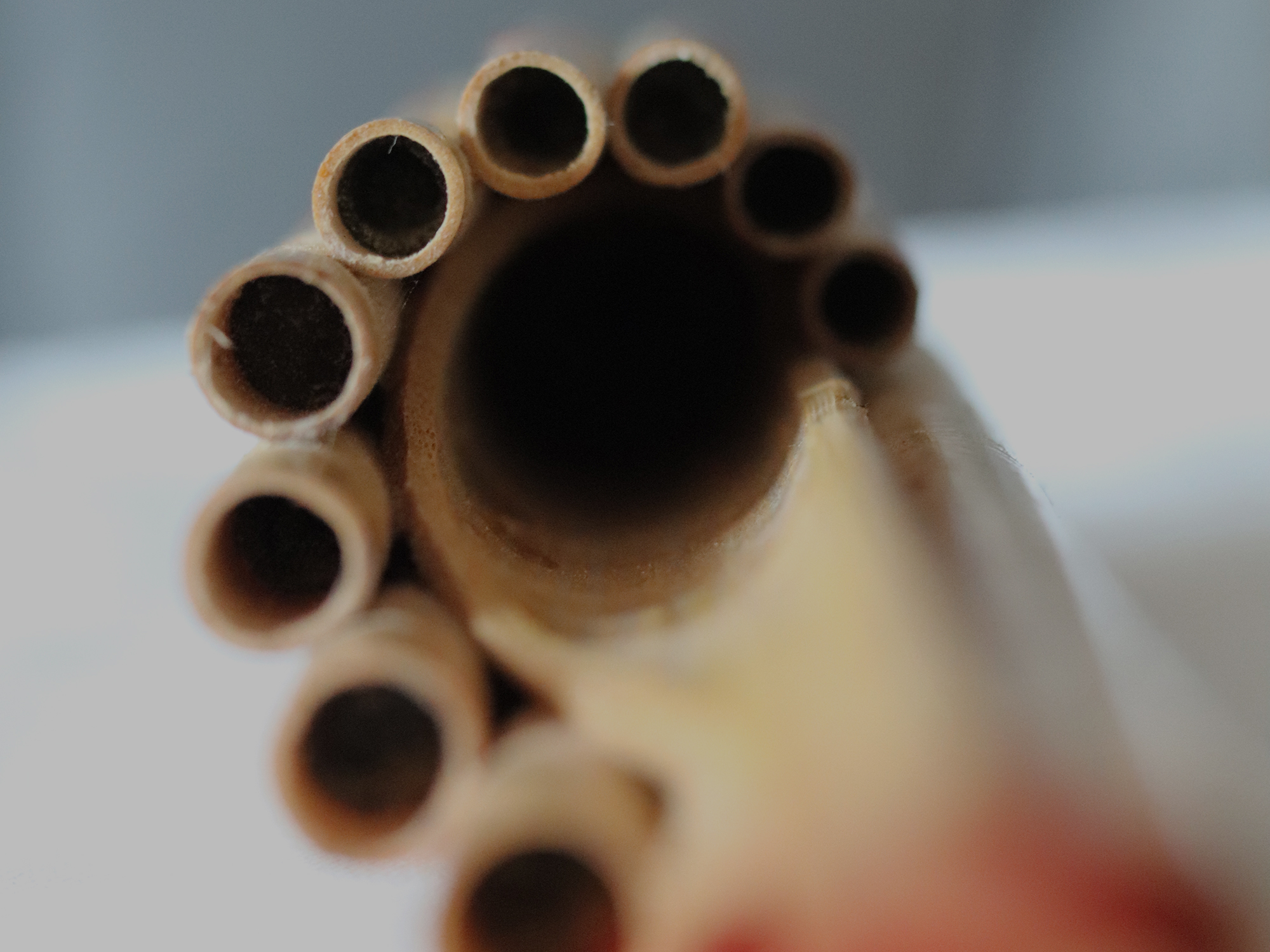 ISVOR anunță lansarea proiectului Muzeul Fluierelor Lumii