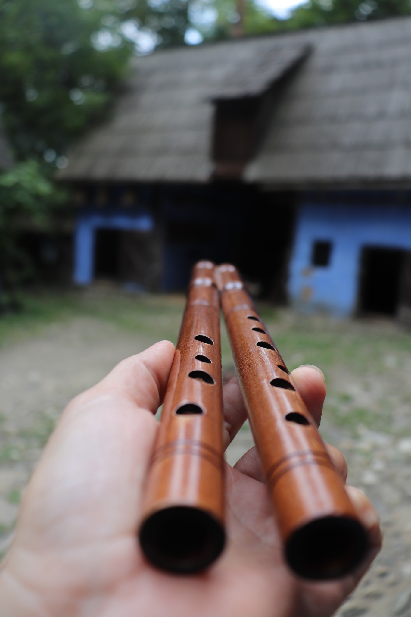 S-a lansat campania de fundraising pentru Muzeul Fluierelor Lumii: „Dă un leu pentru Muzeu – nu lăsa sunetul fluierului să se stingă!”